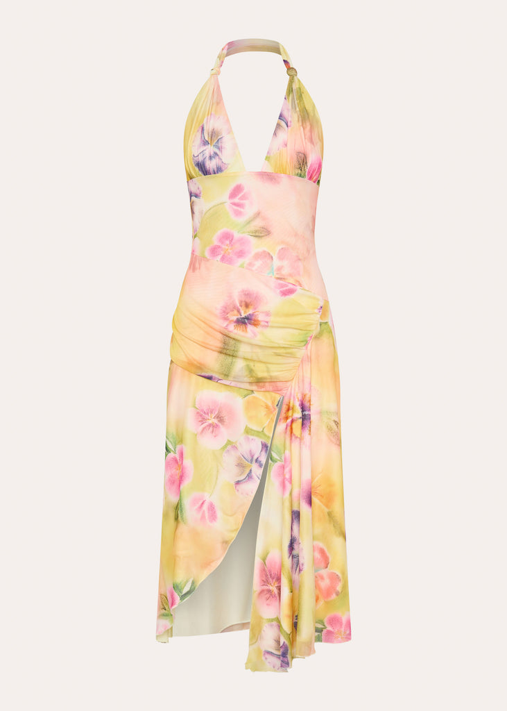 Robe Elena