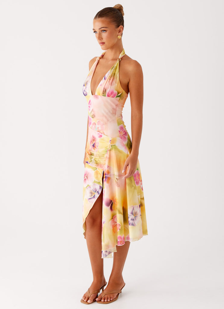 Robe Elena
