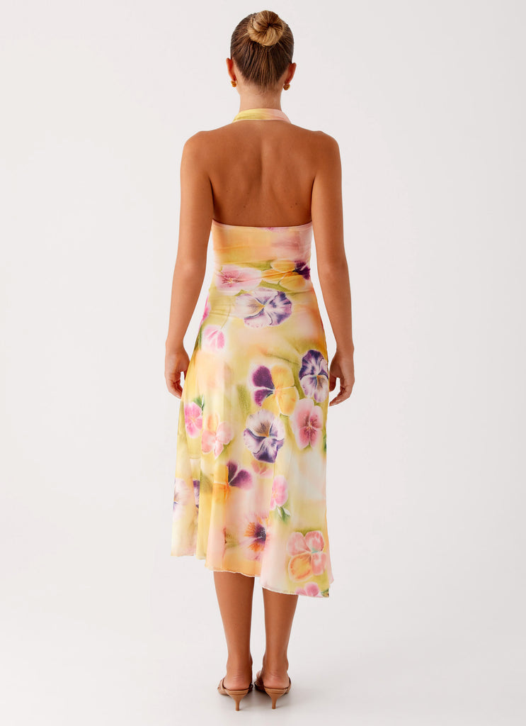Robe Elena